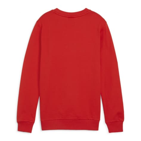 Puma Kinder Pullover teamGOAL Casuals Crew Neck Sweat Jr 658593-01 140 Puma Red-Puma White | 140