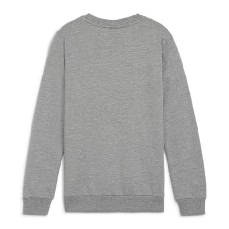 Puma Kinder Pullover teamGOAL Casuals Crew Neck Sweat Jr 658593 