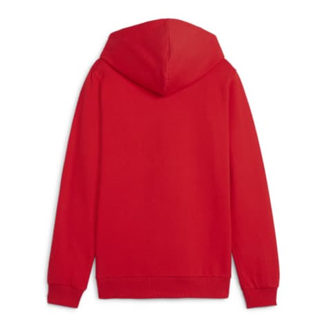 Puma Kinder Kapuzenpullover teamGOAL Casuals Hoody Jr 658619-01 116 Puma Red-Puma White | 116