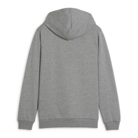Puma Kinder Kapuzenpullover teamGOAL Casuals Hoody Jr 658619 