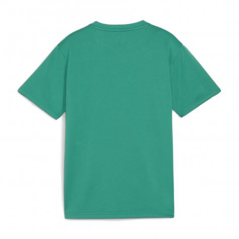 Puma Kinder T-Shirt teamGOAL Jersey Jr 658637 