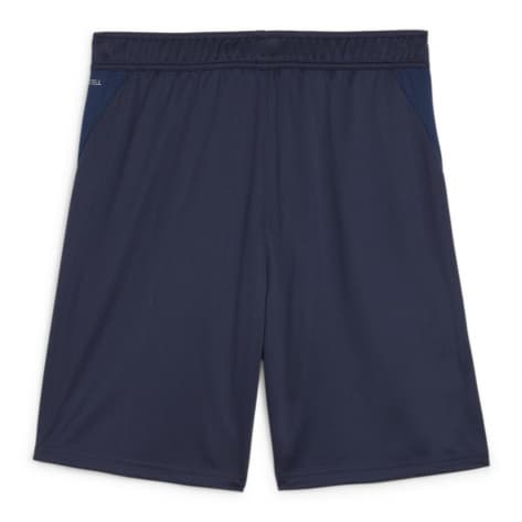 Puma Herren Short teamGOAL Training Short 658643 