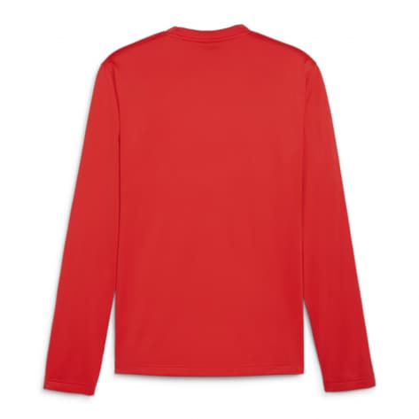 Puma Herren Pullover teamGOAL Training Sweat 658649 