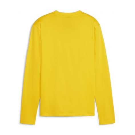 Puma Damen Pullover teamGOAL Training Sweat 658652 