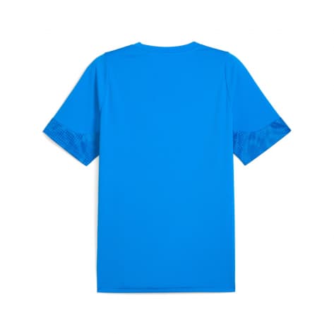 Puma Herren Trainingsshirt teamCUP Training Jersey 659167 