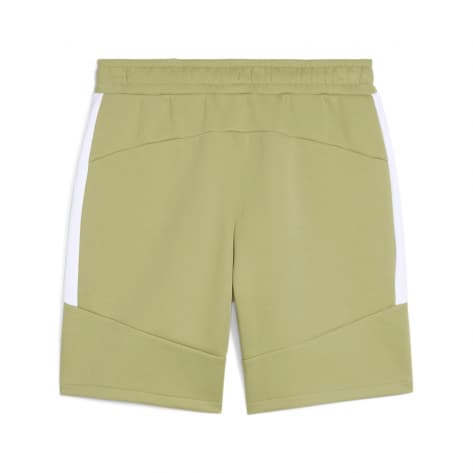 Puma Herren Short teamEVOSTRIPE 659951 