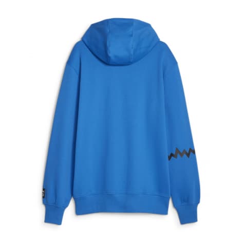 Puma Herren Kapuzenpullover Hoops Team Hoodie 676648 