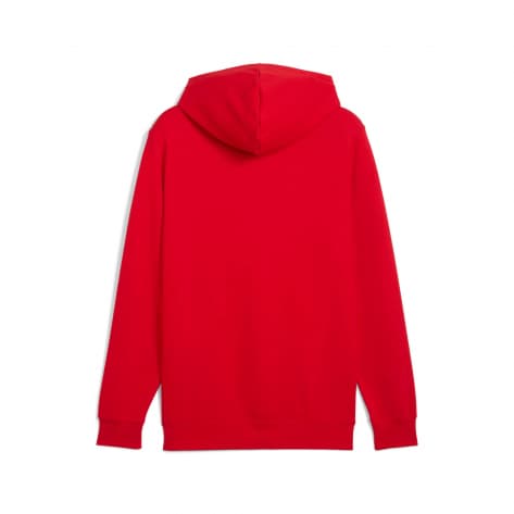 Puma Herren Kapuzenpullover ESS+ TR Hoodie 682572 