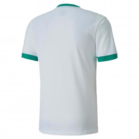 Puma Herren Trikot teamGOAL 23 Jersey 704171 
