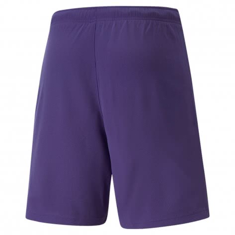 Puma Herren Shorts teamRISE Short 704942 