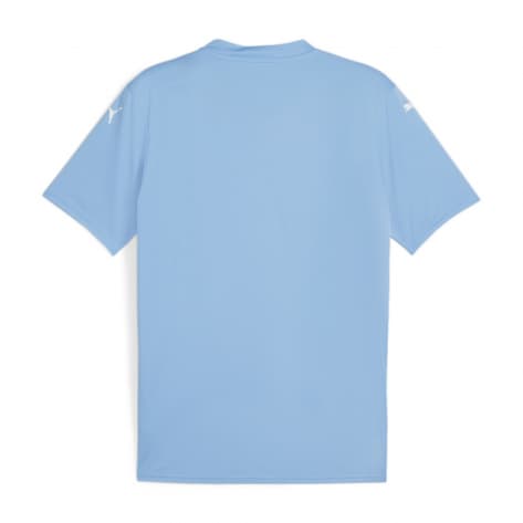 Puma Herren Trikot teamGLORY Jersey 705740 