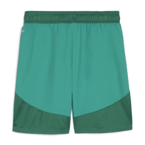 Puma Herren Short teamFINAL Shorts 705743-05 XXXL Sport Green-PUMA White-Power Green | XXXL