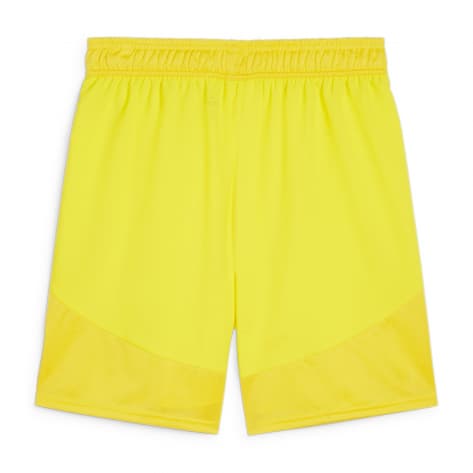 Puma Herren Short teamFINAL Shorts 705743 