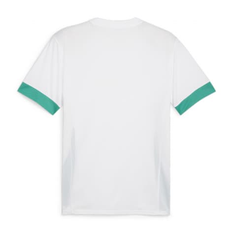 Puma Kinder Trikot teamGOAL Matchday Jersey jr 705748-15 152 PUMA White-Sport Green | 152