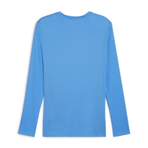 Puma Herren Langarm Shirt teamGOAL LS Jersey 705750 