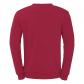 Uhlsport Unisex Pullover Sweatshirt 1005297 
