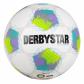 Derbystar Kinder Fussball Brillant Light 350 v26 