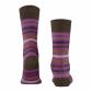 Falke Herren Socken Tinted Stripe 13279 