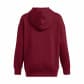 Under Armour Damen Kapuzenpullover Essential Flc OS Hoodie 1379495 