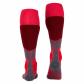 Falke Damen Ski Socken SK1 16507 