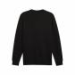 Puma Herren Pullover ESS Crew FL 682566 