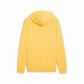 Puma Herren Kapuzenpullover ESS 2 COLOR No.1 Logo Hoodie TR 684712 
