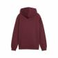 Puma Kinder Kapuzenpullover ESS Small No. 1 Logo Relaxed Hoodie FL 684921 