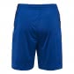 Hummel Herren Shorts Tech Move Poly Shorts 200008-7045 S True Blue | S