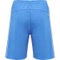 Hummel Herren Shorts Arne 206163-8378 S Blue Aster | S