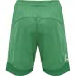 Hummel Kinder Short Lead Poly 207396 
