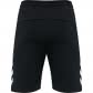 Hummel Herren Shorts RAY 2.0 SHORTS 211156-2001 S Black | S