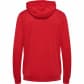 Hummel Herren Trainingsjacke hmlAuthentic PL Zip Hoodie 219979-3062 M True Red | M