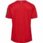 Hummel Herren 1. FC Köln Auswärtstrikot 24/25 226398-3062 XXXL True Red | XXXL
