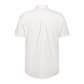 CMP Herren Hemd MAN SHIRT 31T7467V 