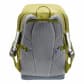 Deuter Kinder Rucksack Waldfuchs 10 3610225-1206 Linden-Cactus | One size