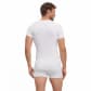 Falke Herren T-Shirt Warm 39662 