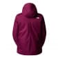 The North Face Damen Winterjacke Quest 3Y1J-I0H S Boysenberry | S