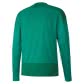Puma Herren Sweatshirt teamGOAL 23 Training Sweat 656478 