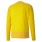 Puma Herren Sweatshirt teamGOAL 23 Training Sweat 656478-07 XXL Cyber Yellow-Spectra Yellow | XXL