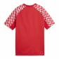 Puma Kinder Trikot teamLIGA26 Jersey 659723 