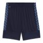 Puma Herren Short teamLIGA26 Training Shorts 659730 