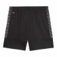 Puma Kinder Short teamLIGA26 Training Shorts Jr 659732 