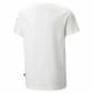 Puma Jungen T-Shirt ESS+ Street Art Summer Tee 673281 