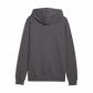 Puma Herren Kapuzenpullover ESS No. 1 Logo Hoodie FL (s) 682571 