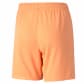Puma Kinder Shorts teamLIGA Shorts Jr 704931 