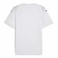 Puma Herren Trikot teamCUP Jersey 706272 