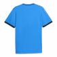 Puma Herren Trikot teamLIGA26 Striped Jersey 706550 