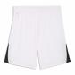Puma Herren Short teamLIGA26 Shorts 706554 