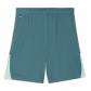 Puma Herren Short teamLIGA26 Shorts 706554 