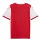 Puma Herren Trikot teamFINAL26 Knit Jersey 706651 